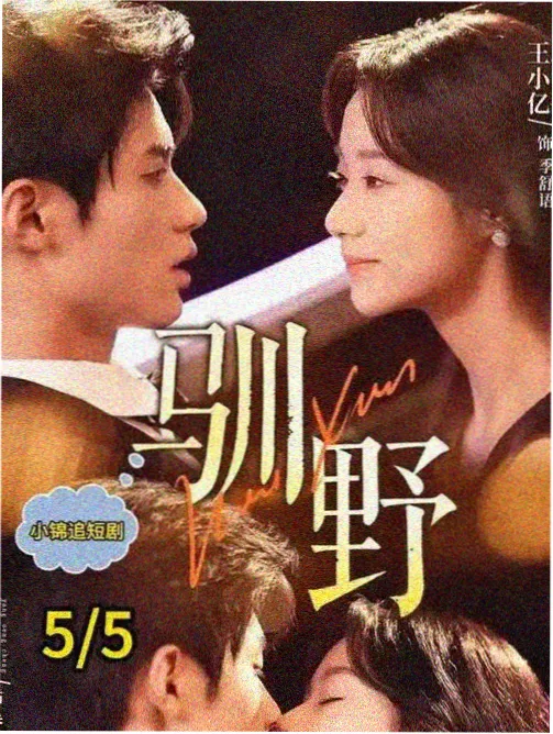 优优影院完播热度榜条目雾港档案的封面图